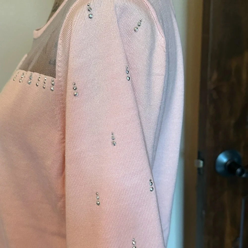 LAST ONE! Lovely short sleeved sweater-New with tag! - Picture 3 of 4